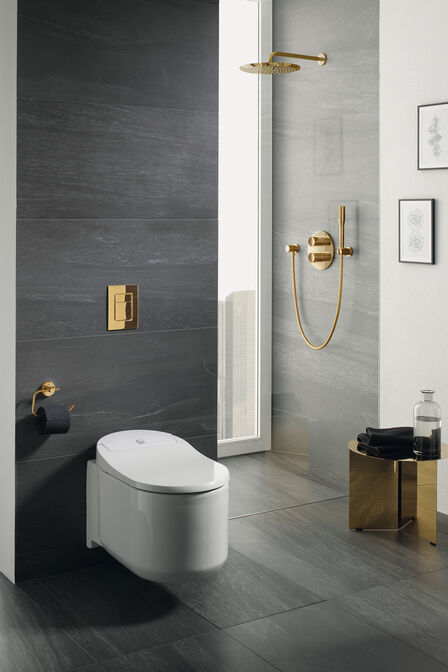 Das Dusch-WC «Sensia Arena» ist bereits mit renommierten Preisen wie dem iF Design Award oder dem Red Dot Design Award ausgezeichnet worden. Durch die schlanke Form passt es perfekt ins Badambiente. Grohe.